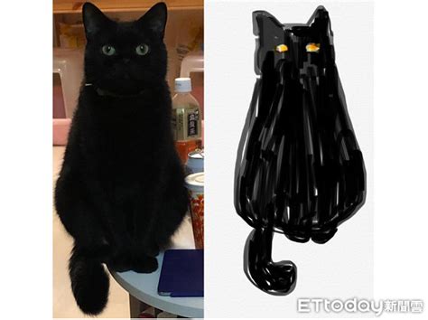 養黑貓的好處 龍角 畫法